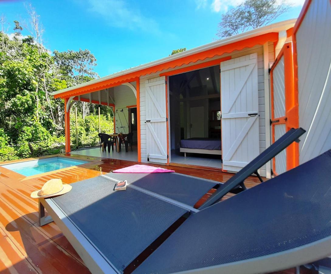 Caraibes Cottages Corail Piscine Privee A 900M De La Plage De Grande Anse Десе Екстер'єр фото