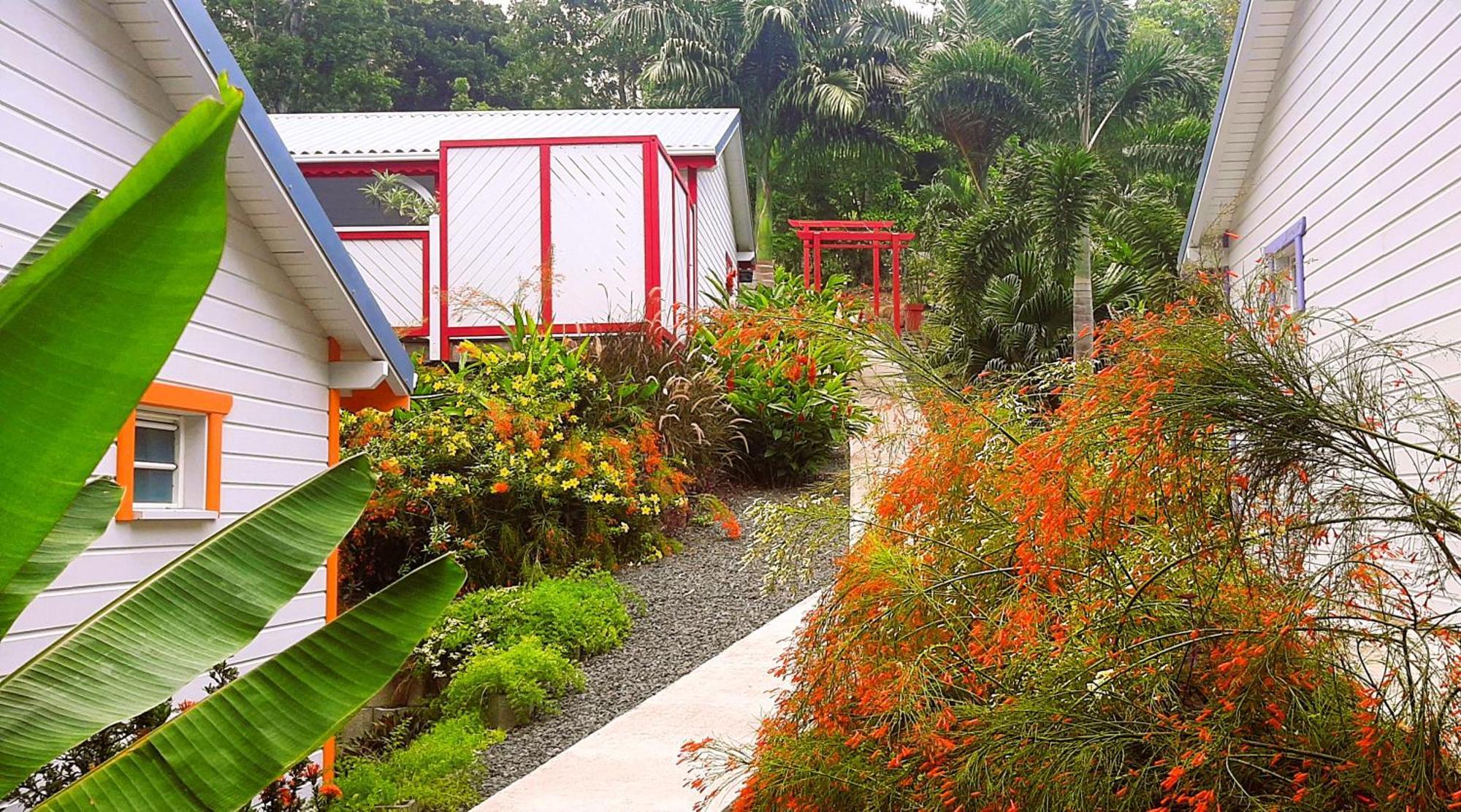 Caraibes Cottages Corail Piscine Privee A 900M De La Plage De Grande Anse Десе Екстер'єр фото