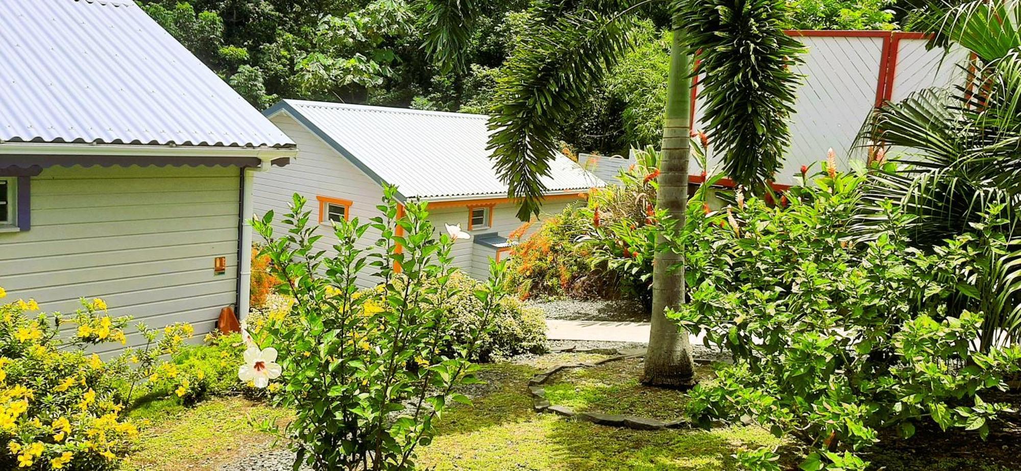 Caraibes Cottages Corail Piscine Privee A 900M De La Plage De Grande Anse Десе Екстер'єр фото