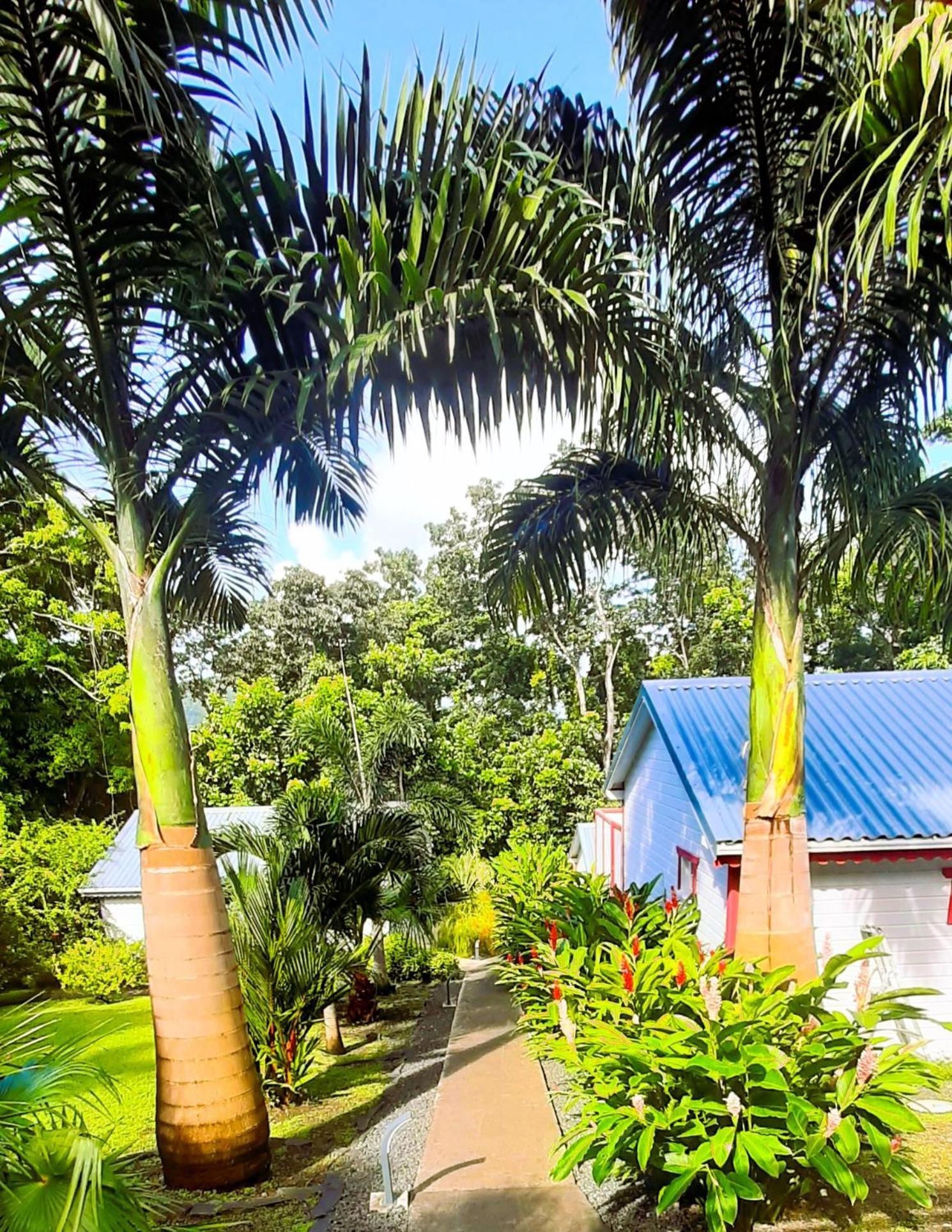 Caraibes Cottages Corail Piscine Privee A 900M De La Plage De Grande Anse Десе Екстер'єр фото